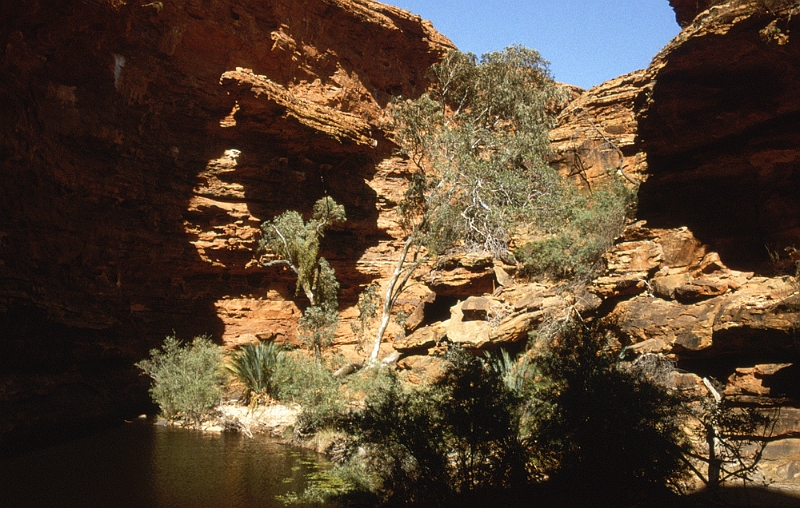 696_Kings Canyon, de zwempoel.jpg